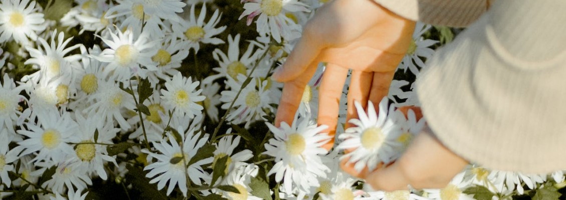 Çevre Dostu Yaklaşımlarla Koku Nötralizasyonu: Temiz Hava ve Sürdürülebilirlik